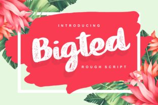 Bigted: A Script Font That Brings Summer to Your Web Design