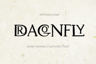 Dragonfly: A Designer’s Honest Take on This Script Amp