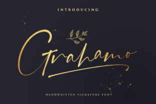 Grahamo: A Bold and Charming Script for Creative Branding