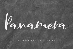 Panamera: A Charming Script Font for Digital Design