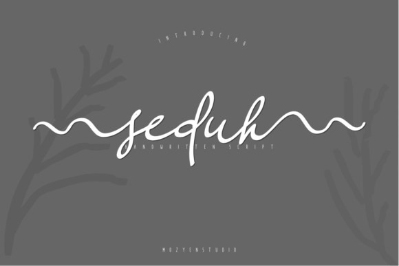 Seduh Font: A Simple Typography Upgrade for a Stronger Brand