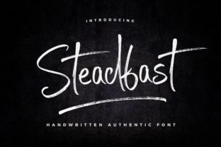 Steadfast: A Charming Script Font for Makers and Designers