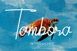 Tambora Font: A Script That Elevates Brand Design